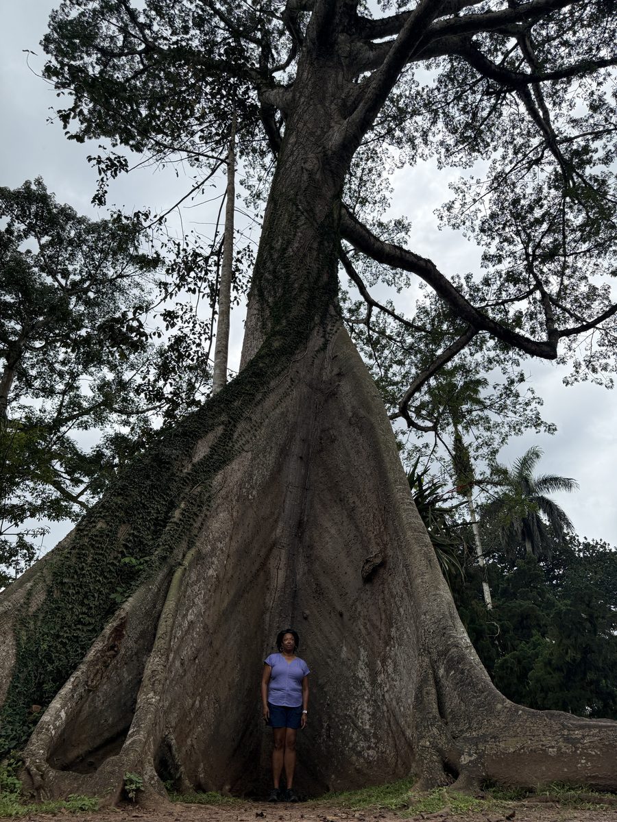 Visitor beside a giant buttress-root tree at Aburi Botanical Gardens