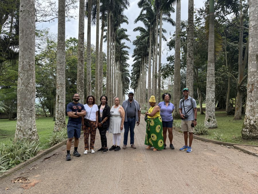 AAG guests on the palm tree avenue at Aburi Botanical Gardens