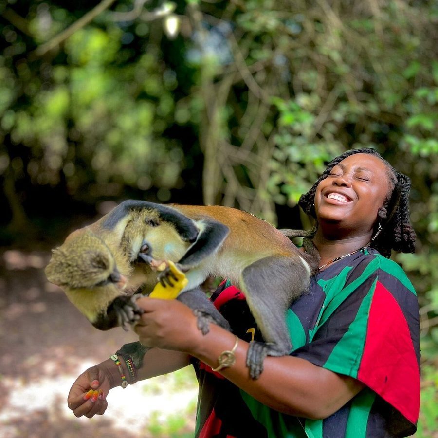 Guest feeding a monkey at Tafi Atome sanctuary